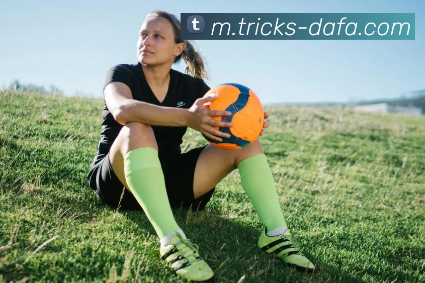 大发彩票平台生态图